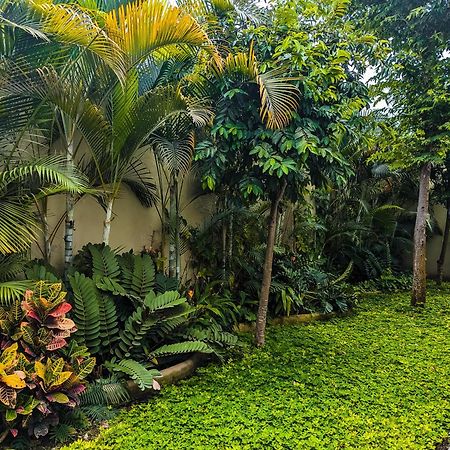 Los Gallos -Suite Vistas Panoramicas 洛德马科斯 外观 照片
