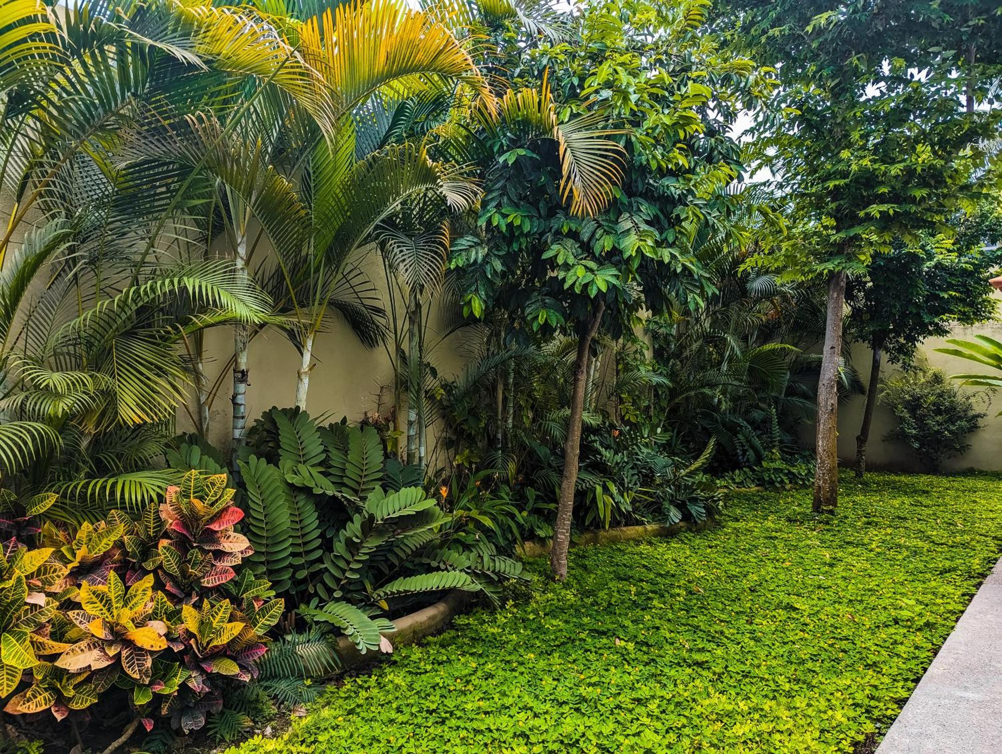 Los Gallos -Suite Vistas Panoramicas 洛德马科斯 外观 照片
