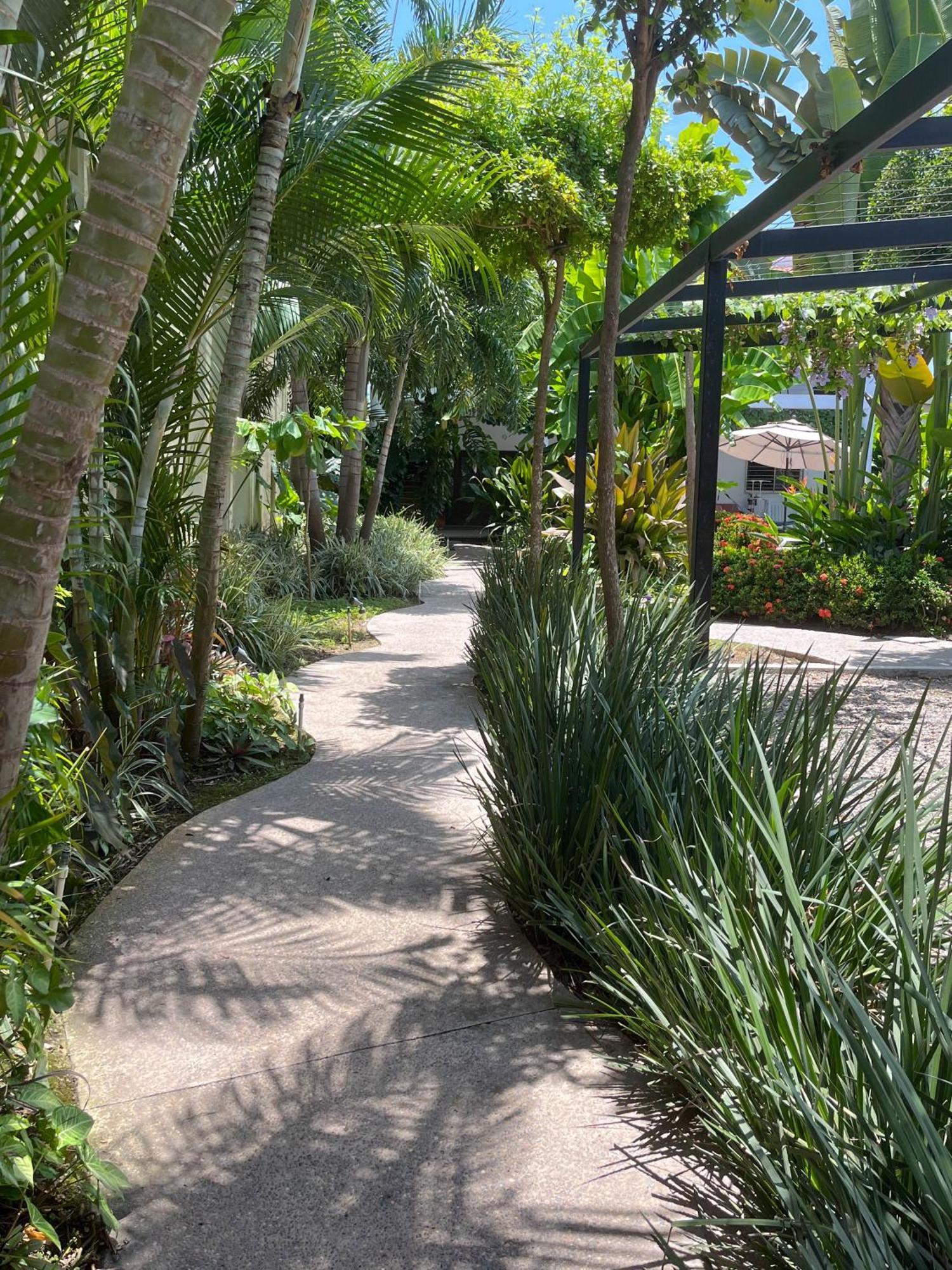 Los Gallos -Suite Vistas Panoramicas 洛德马科斯 外观 照片